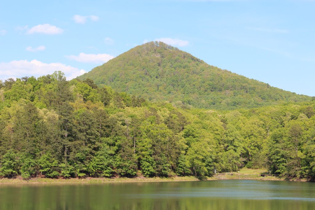 Pickens County