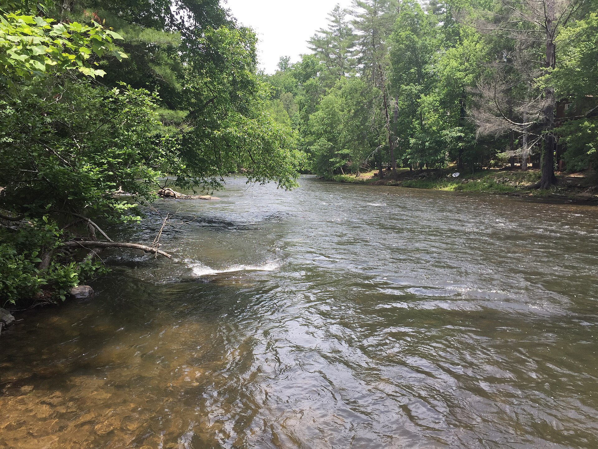 Toccoa River in Fannin County, 2017